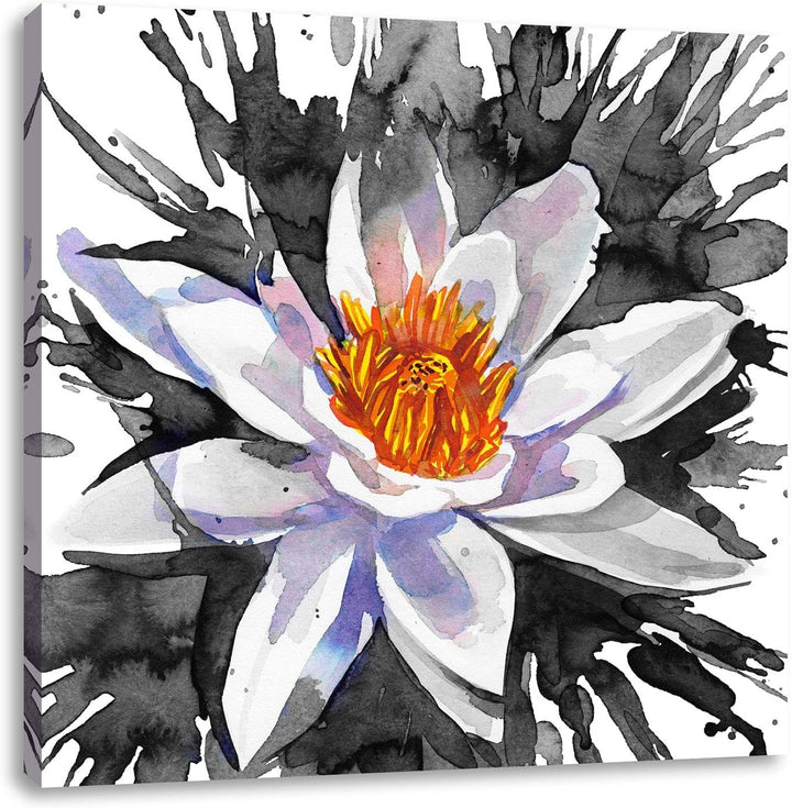 Pixxprint gezeichnete Seerose als Leinwandbild Quadratisch/Grösse: 70x70 / Wandbild/Kunstdruck/ferti