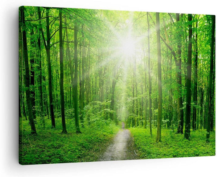 Bilder auf Leinwand Sonnenstrahlen Wald Sommer Leinwandbild 70x50cm Wandbilder Dekoration Wohnzimmer