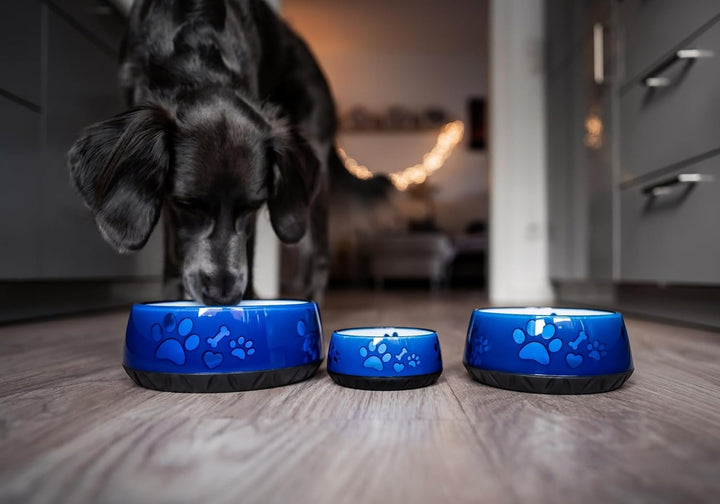 Hundenapf kleine Hunde/Hundenapf grosse Hunde/Futternapf Hund/Trinknapf Hund/S/M/L rutschfest (M 101