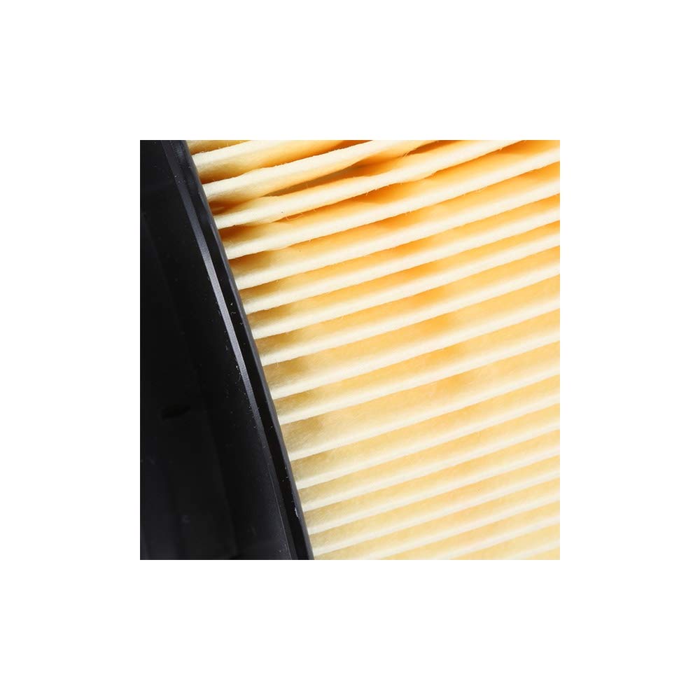 Mann-filter C 16 134/2 - Luftfilter & Innenraumfilter FP 25 007 – FreciousPlus Biofunktionaler Polle