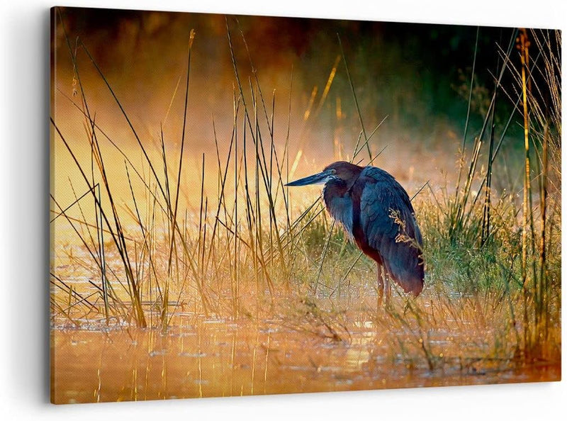 Bilder auf Leinwand 100x70cm Leinwandbild mit Rahmen Vogel Natur Wasser Gross Wanddeko Bild Schlafzi