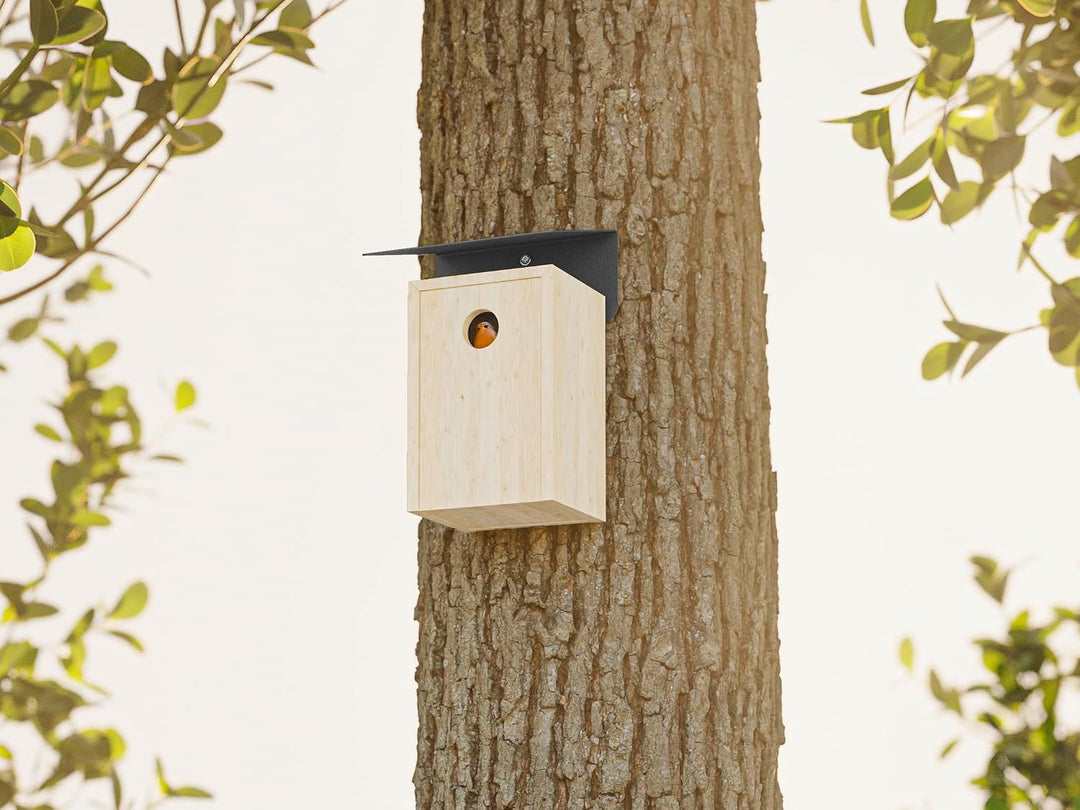 Alberts 355296 Vogelhäuschen Schrägschutzdach | Vogelfutterhaus aus Stahl in verschiedenen Trendfarb
