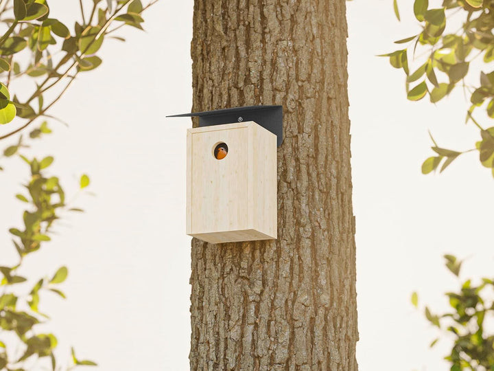 Alberts 355296 Vogelhäuschen Schrägschutzdach | Vogelfutterhaus aus Stahl in verschiedenen Trendfarb