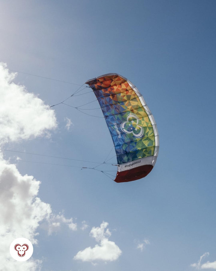 Skymonkey Windtrainer, Trainer-Kite / 4-Leiner Lenkmatte inkl. Trainerbar, Ready 2 Fly, mit 230 cm o