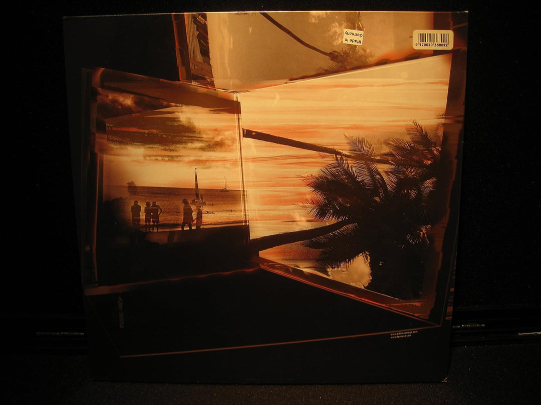 Endless Summer Edition), Vinyl