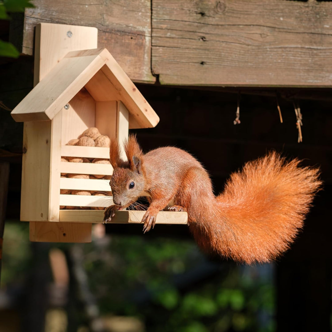 Zirbelino® Eichhörnchen Futterhaus, fix-fertig montiert aus 100% Zirbenholz | 100% wetterfest I meta