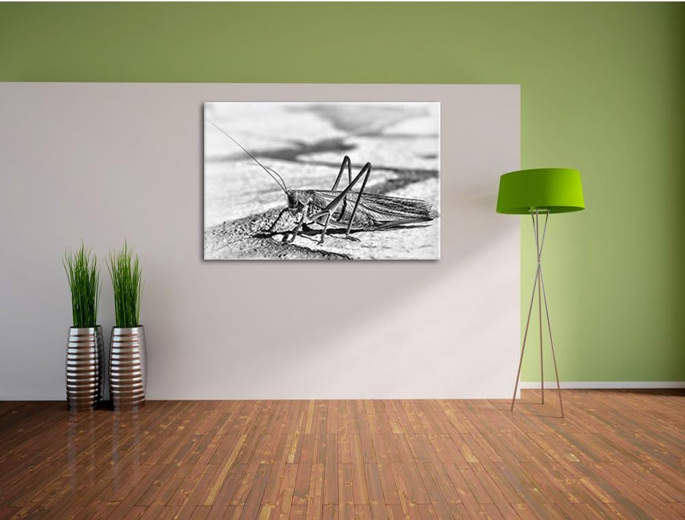Pixxprint Elegante Heuschrecke / 100x70cm Leinwandbild bespannt auf Holzrahmen/Wandbild Kunstdruck D
