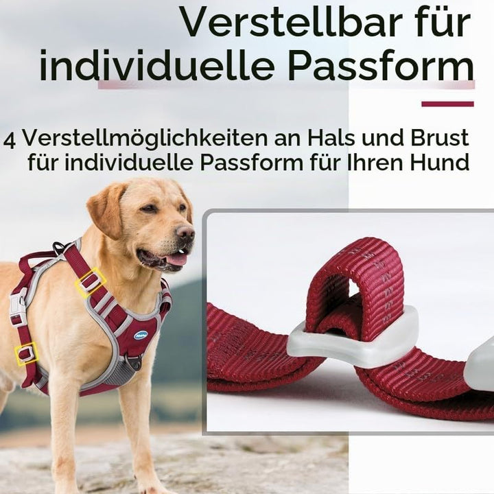 ThinkPet Anti Zug Hundegeschirr mit Griff - Verstellbar ohne Würgen, Reflektierend, Atmungsaktiv, Ge