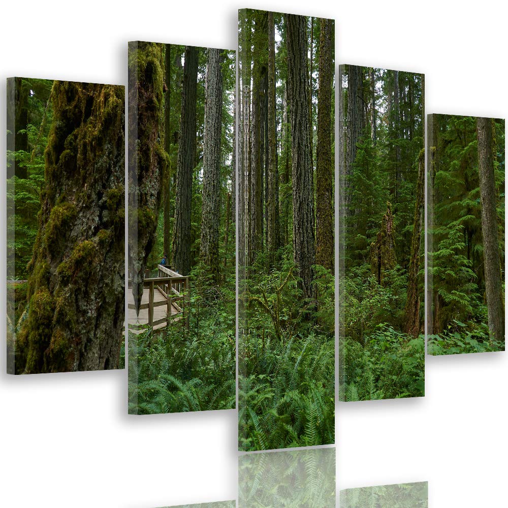 Feeby Wanddeko XXL Natur Leinwandbild 5 Teilig Wald Landschaft Bäume grün 100x70 cm Leinwandbild 100