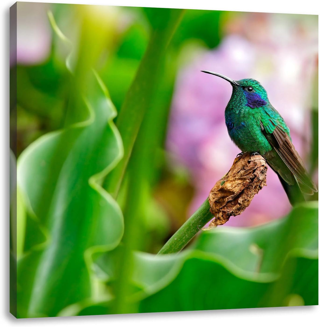 Pixxprint Kolibri in seinem natürlichen Lebensraum, Format: 70x70 auf Leinwand, 70x70