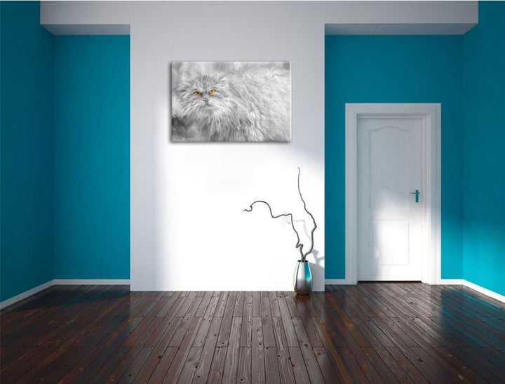 wütende kleine Manul schwarz/weiss Deluxe Format: 100x70 cm auf Leinwand, XXL riesige Bilder fertig