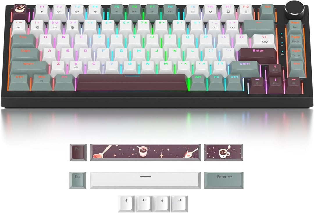 SOLIDEE Verkabelte Mechanische Gaming Tastatur 75 Prozent,hot-swap-fähige Mechanische Tastatur mit G