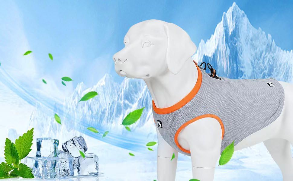 MOKCCI Truelove Hund Kühlende Weste Geschirr Kühler Jacke mit Verstellbare Reissverschluss für Outdo