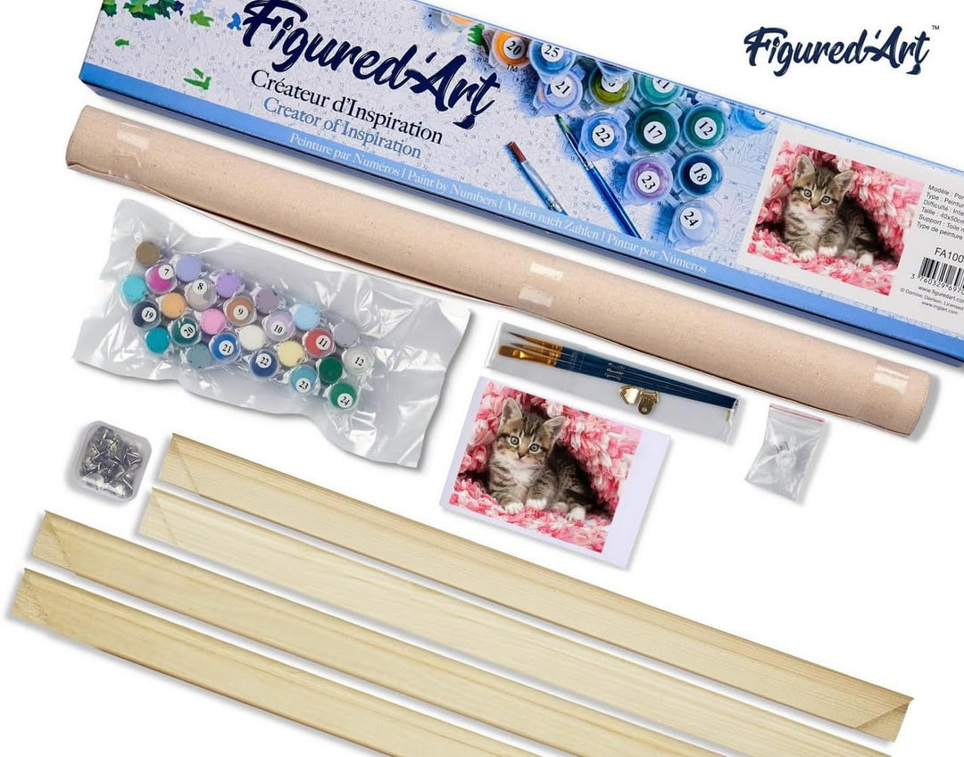 Figured'Art Malen Nach Zahlen Erwachsene Mit Rahmen Katze unter Decke - Paint by Numbers Basteln DIY