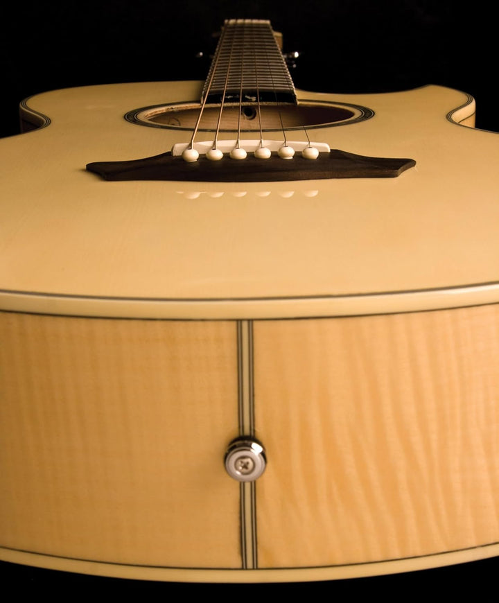 Washburn EA20-A Akustik-E-Gitarre, 6 Saiten, rechts