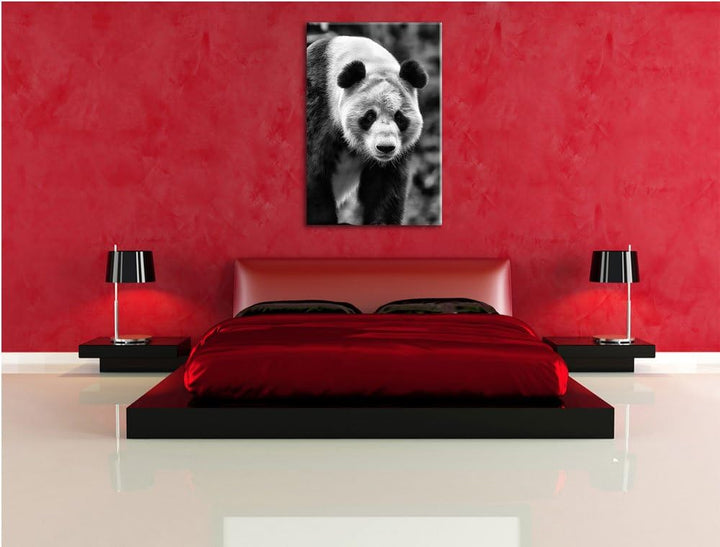Pixxprint grosser Pandabär / 100x70cm Leinwandbild bespannt auf Holzrahmen/Wandbild Kunstdruck Dekor