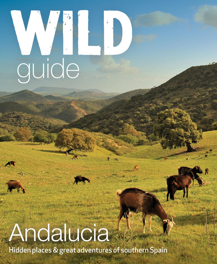 Wild Guide Andalucia: Hidden Places, Great Adventures and the Good Life (Wild Guides), Taschenbuch