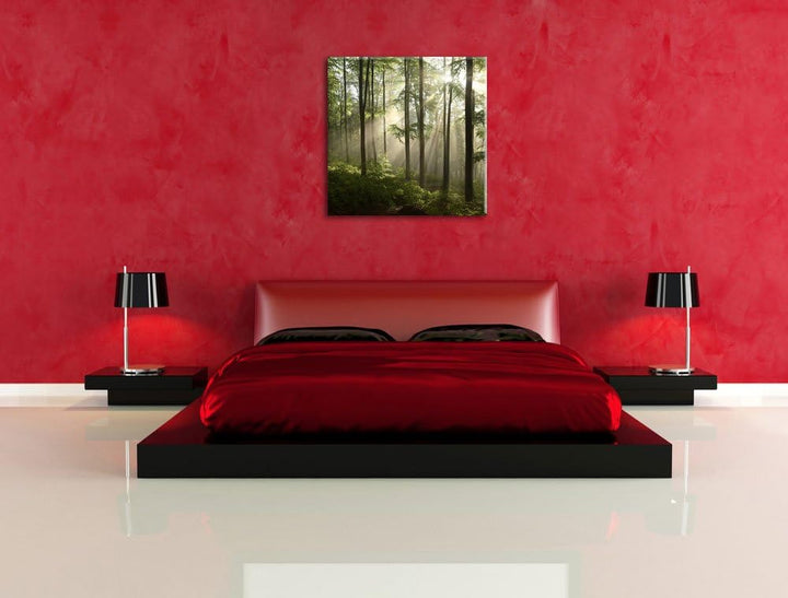 Sonnenstrahlen im Wald, Format: 70x70 auf Leinwand, XXL riesige Bilder fertig gerahmt mit Keilrahmen