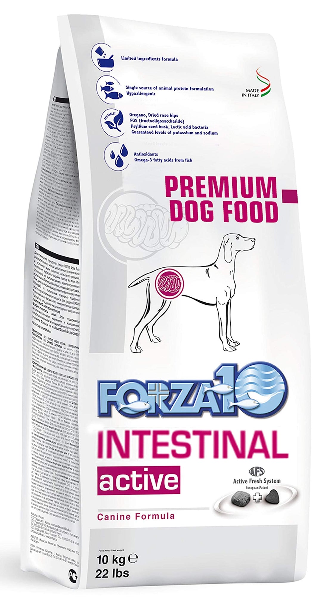 Forza10 Intestinal Active Trockenfutter für Hunden mit Magenschleimhautentzündung, 1er Pack (1 x 10