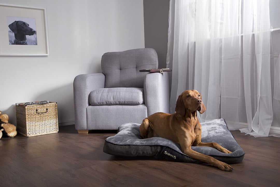 Scruffs 1160 Chester Hunde Kissen, M, grau Grau M 82 x 58 x 6 cm, Grau M 82 x 58 x 6 cm