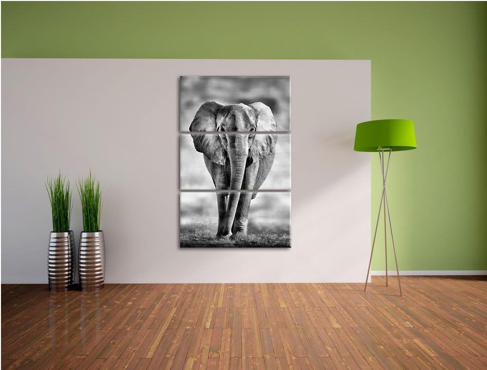 Pixxprint Elefant in Savanne als Leinwandbild/Grösse: 3 Teilig (120x80) cm/Wandbild/Kunstdruck/ferti