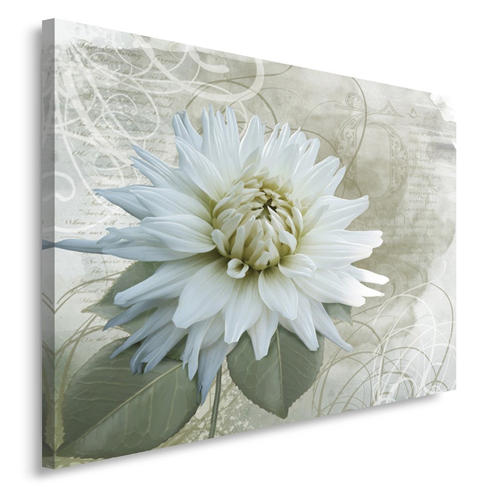 Feeby Bilder Blume Natur 70x50 cm Wohnzimmer Schlafzimmer Büro Flur Küche Wandbilder Modern Bild auf