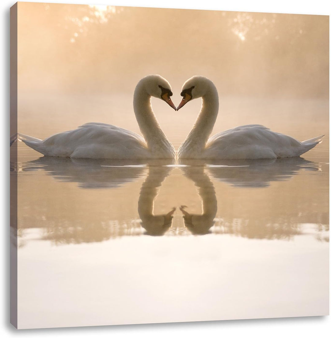 Pixxprint Schwäne im Morgengrauen / 70x70cm Leinwandbild bespannt auf Holzrahmen/Wandbild Kunstdruck