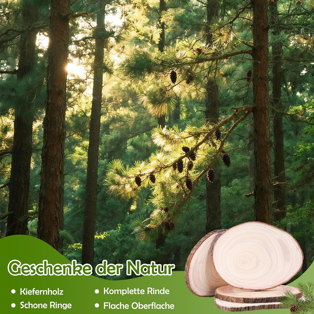 Holzscheiben 4 Stück, 23-26 cm Durchmesser und 15-20 mm Dicke Baumscheiben Unbehandelte, Baumstamm S