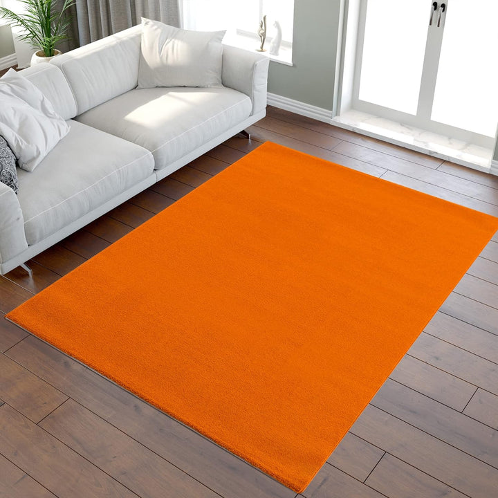 SANAT Kurzflor Teppich Wohnzimmer - Uni Modern Teppiche fürs Schlafzimmer, Arbeitszimmer, Büro, Flur