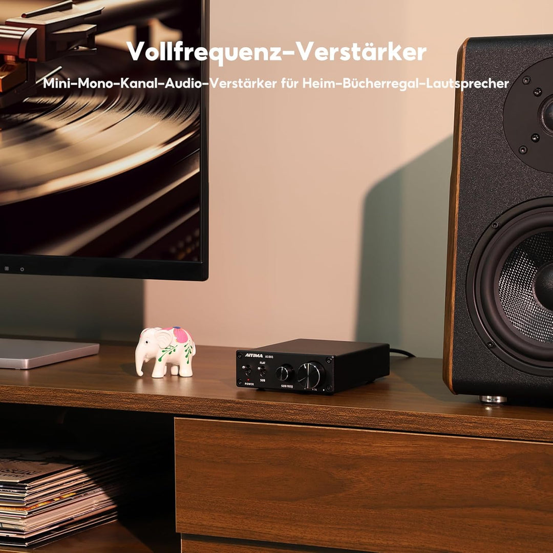 AIYIMA A1001Mono-Subwoofer-Verstärker 100W Klasse D HiFi Digital Power Audio-Verstärker AMP 100W Hei