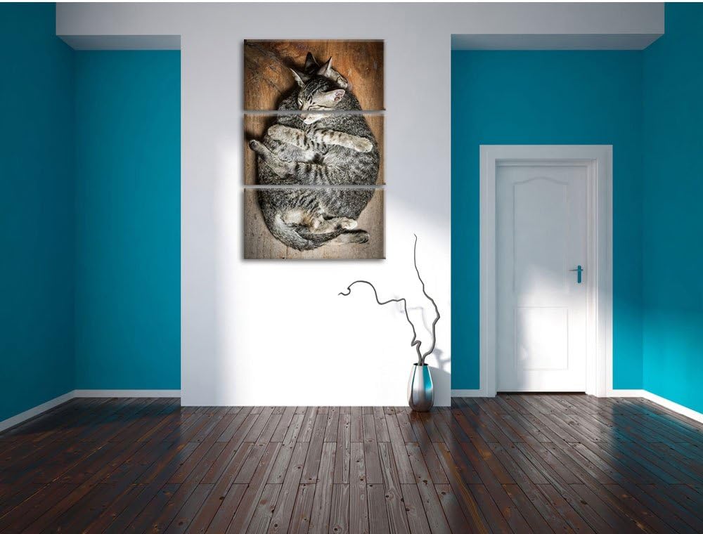 Pixxprint Kuschelnde Katzen 3-Teiler Leinwandbild 120x80 Bild auf Leinwand