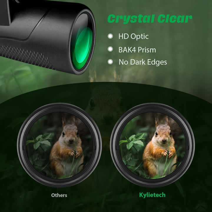 Fernglas Erwachsene 12×42HD, Kompakt Ferngläser mit BAK4 HD Prisma + FMC Objektiv, Binoculars Wasser
