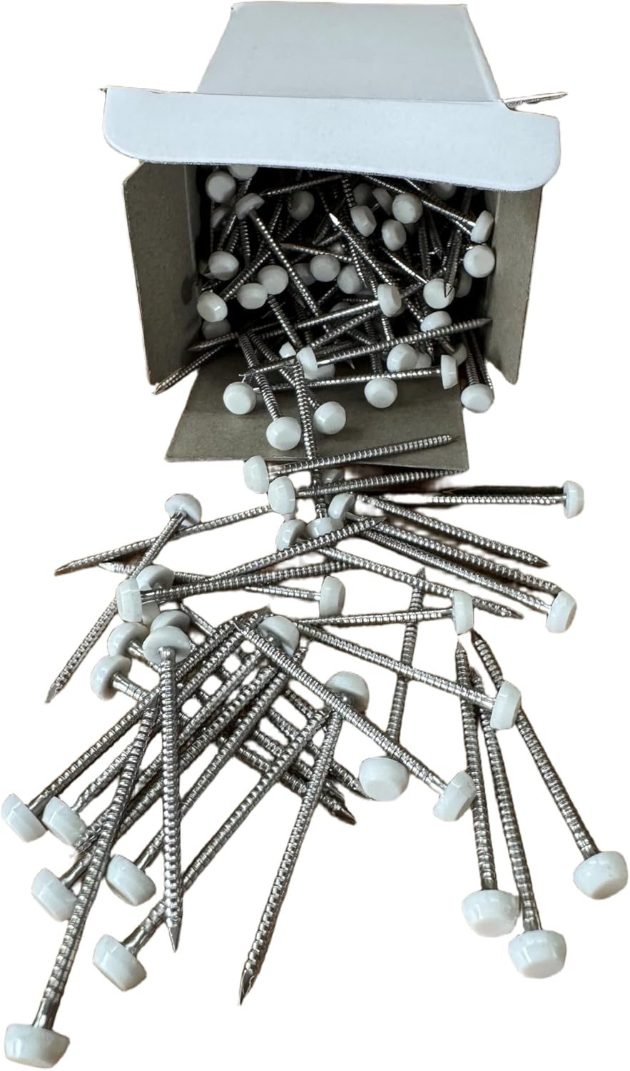 40 mm Poly-Top-Stifte/Nägel (250 Stück), Edelstahl, UPVC Kunststoffkopf, weiss