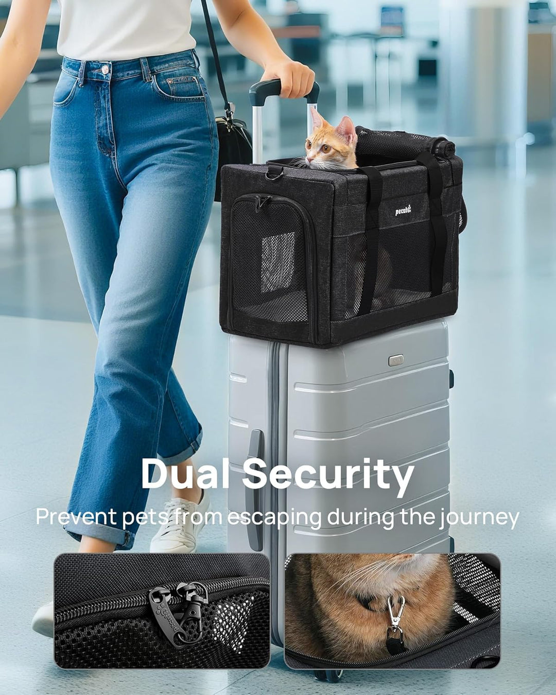 pecute Katzentasche Transporttasche Flugtasche Stabiler Halt Haustier Tragetasche, Transportbox Katz