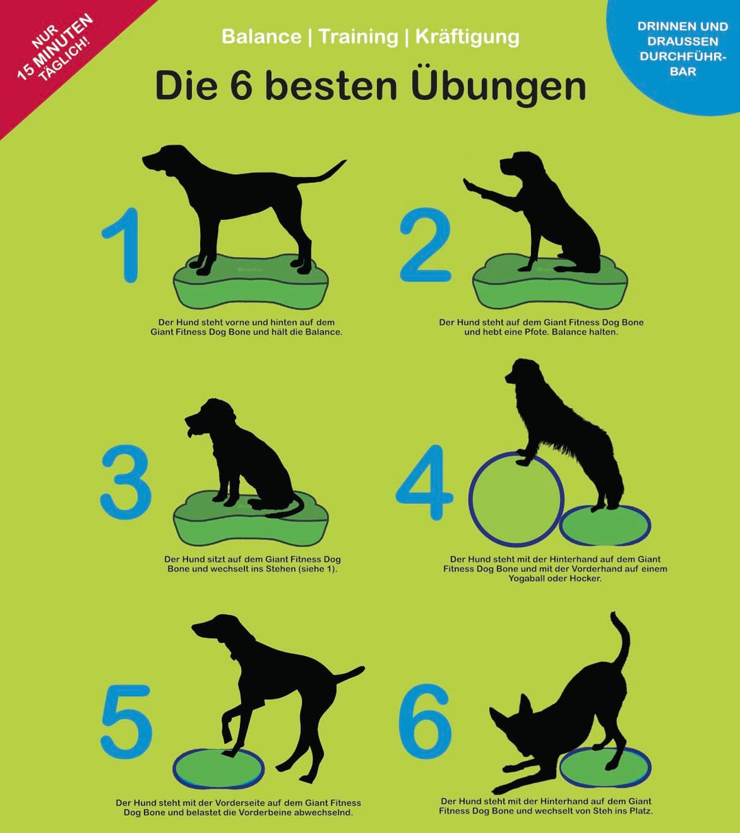 Giant Fitness Dog Bone für Grosse Hunde Balance/Kraftstation/Trainingsgerät/FITBONE/Agility/XXL/hund