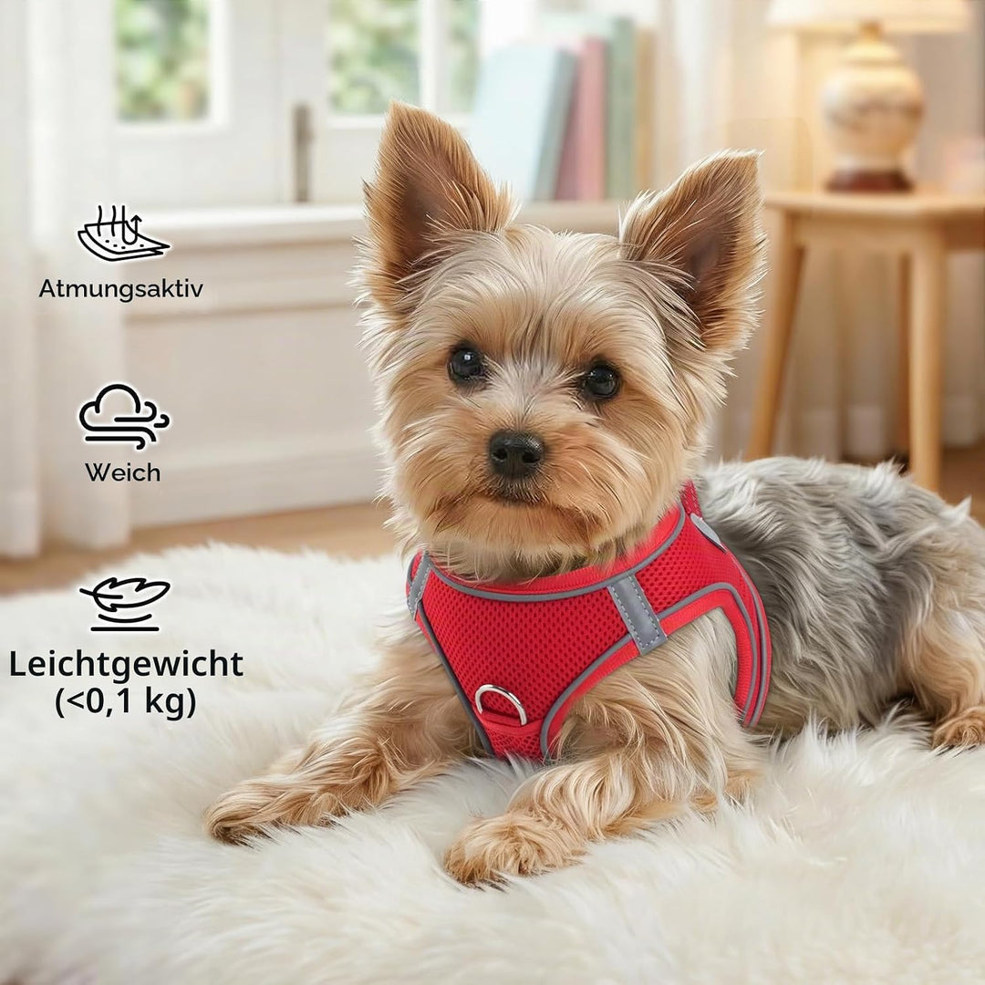 Joytale Hundegeschirr Kleine Hunde, Reflektierend Weich Gepolstert Geschirr, Air-Mesh Brustgeschirr