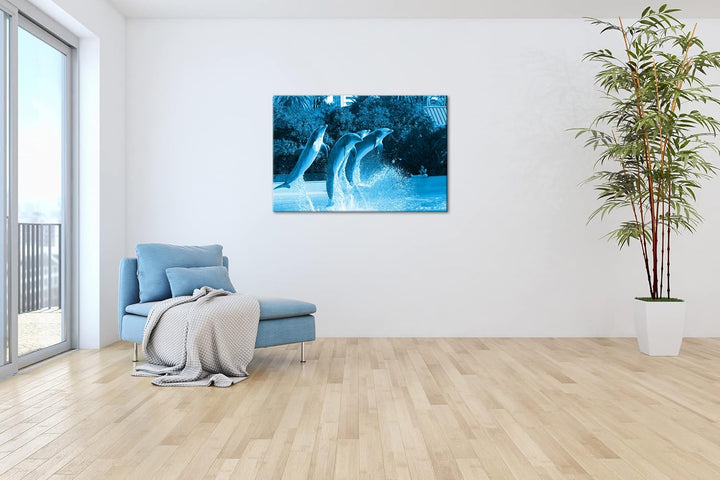 deyoli springende Delphine im Zoo Format 80x60 Effekt: Monocrome Blau als Leinwandbild, Motiv fertig