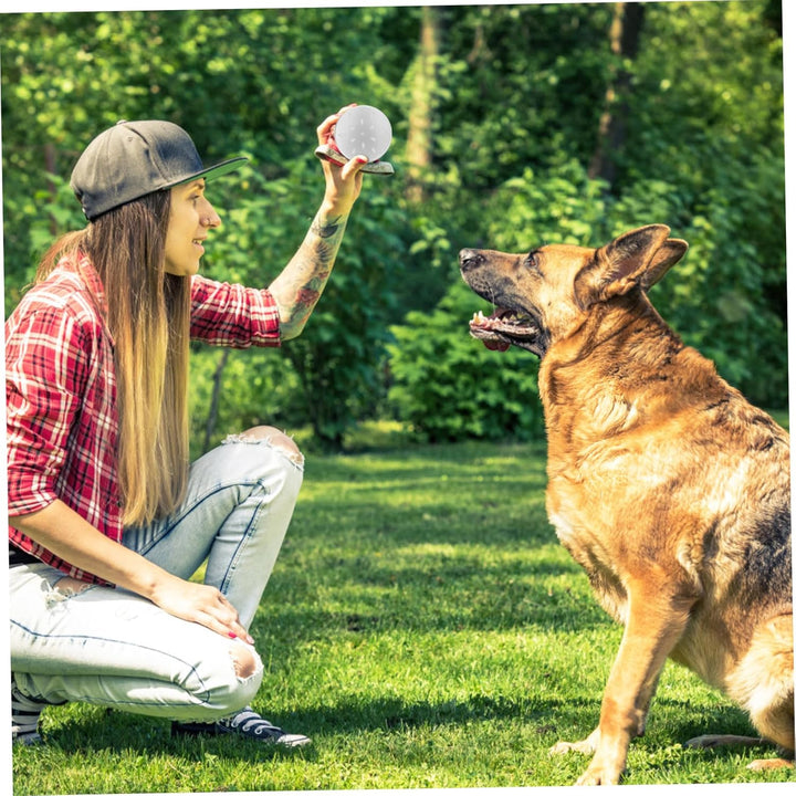MAGICLULU Hundetraining Hunde Training Zubehör 10 Stück Hundedufttrainingsbox Geruchstrainingskanist