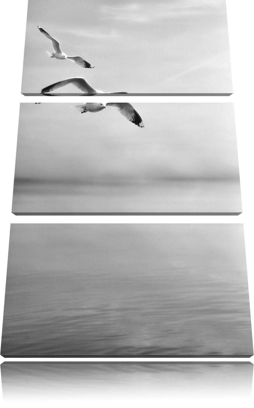 Pixxprint Möwen am Meer bei Sonnenaufgang als Leinwandbild/Grösse: 3 Teilig (120x80) cm/Wandbild/Kun