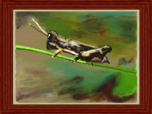Art Academy: Zeichen und Maltechniken