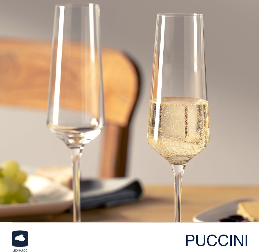 LEONARDO HOME Sektgläser PUCCINI (6er Set) inkl. Poliertuch • Spülmaschinenfeste Prosecco-Kelche (28