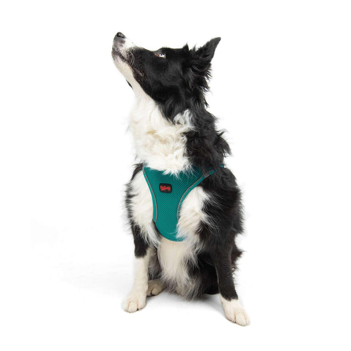 Tailpetz Airmesh-Geschirr (Smaragd, XL) Dunkelgrün XL (Brustumfang 66–70cm), Dunkelgrün XL (Brustumf