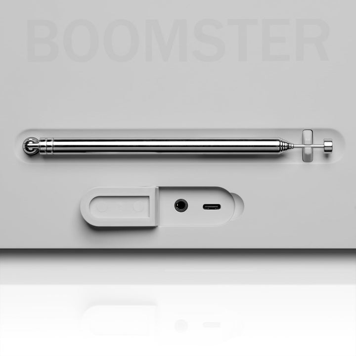 Teufel BOOMSTER 4 Robuster Bluetooth Lautsprecher mit 2.1-Stereo-System Soundsystem DAB+ und FM-RDS-