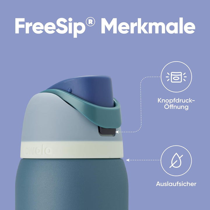 Owala FreeSip Isolierte Edelstahl Trinkflasche mit Strohhalm, 945 ml – BPA-frei, optimal für Sport,