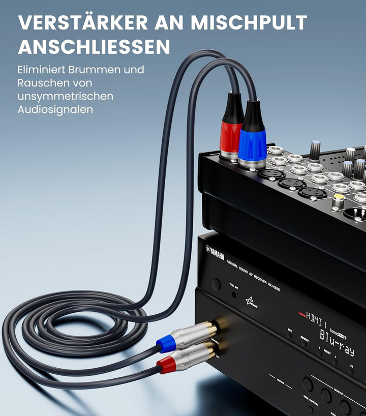 Tisino Dual Cinch auf XLR Kabel, 2 Cinch auf 2 XLR Male HiFi Stereo Audio Verbindung Mikrofonkabel D