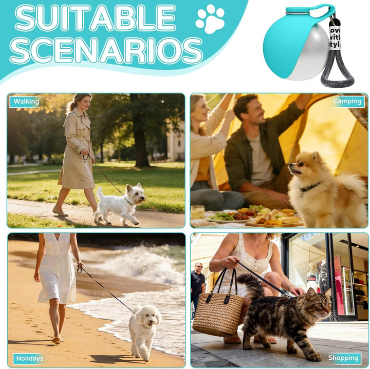Trinkflasche Hunde Für Unterwegs, 285ml Edelstahl Hundetrinkflasche Für Unterwegs, Tragbare Auslaufs