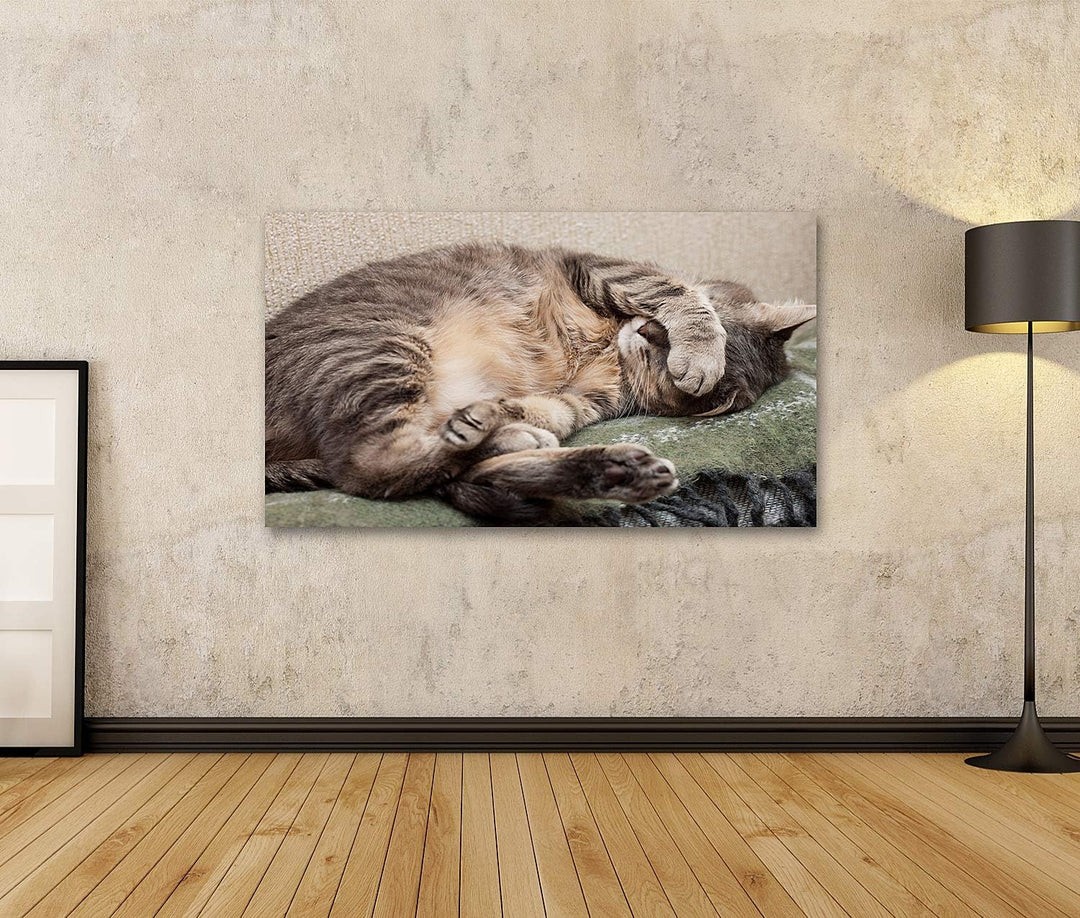 islandburner Bild auf Leinwand Schlafende Katze Bilder Wandbilder Poster Leinwand 100x57cm, Leinwand