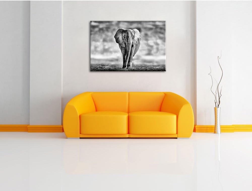 Pixxprint Einsamer Elefant Schwarz-Weiss als Leinwandbild/Grösse: 100x70 cm/Wandbild/Kunstdruck/fert