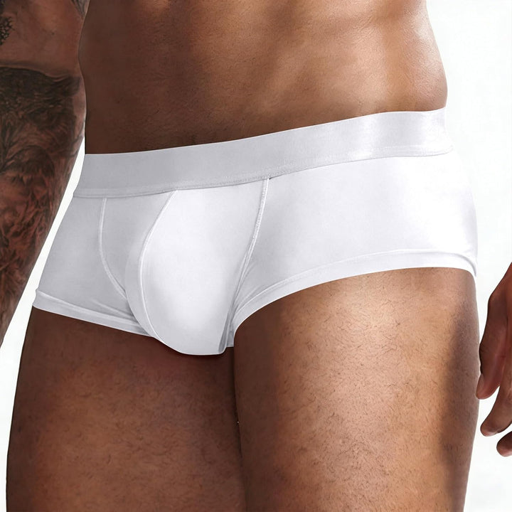 TIMELYE Men's Boxers Super Cosy Men's Boxer Shorts Eisseide Underwear Boxer Shorts Cotton Men's Boxe