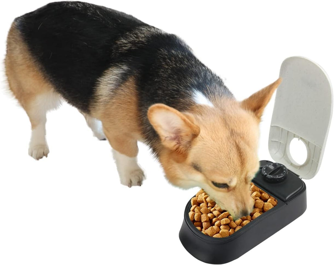 PAWISE Automatische Haustierfütterung für Hunde und Katzen, 1.5 Cup Futterspender Feeder mit 48-Stun